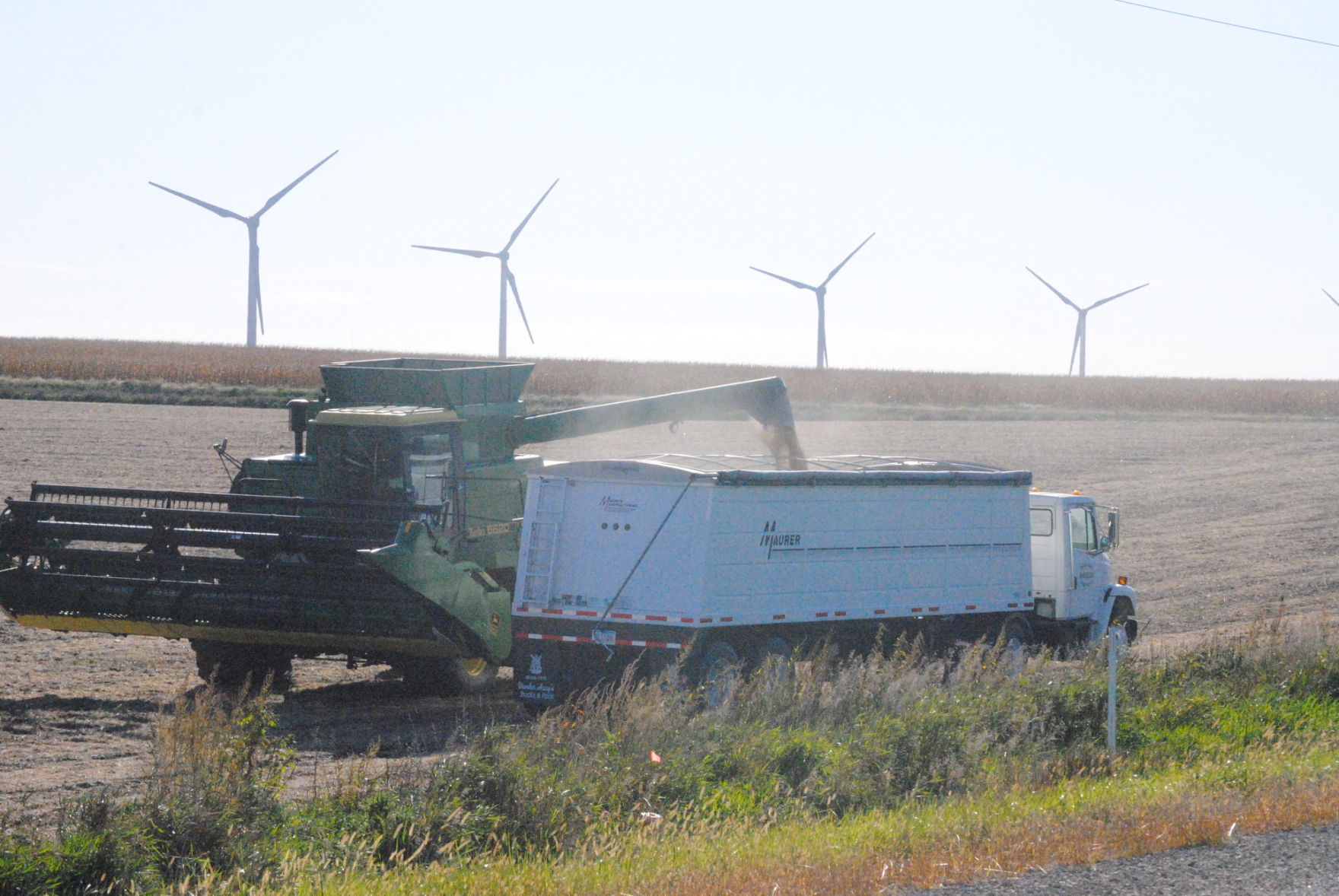 soybeans unload